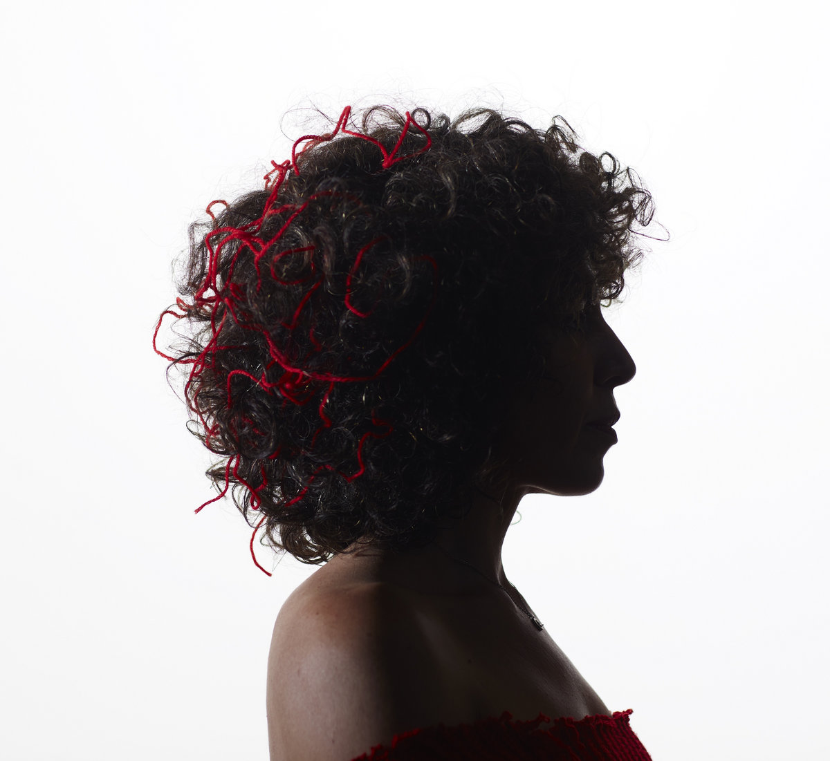 Macha Gharibian, Phenomenal Women, Rue Bleue Meredith Records ***1/2